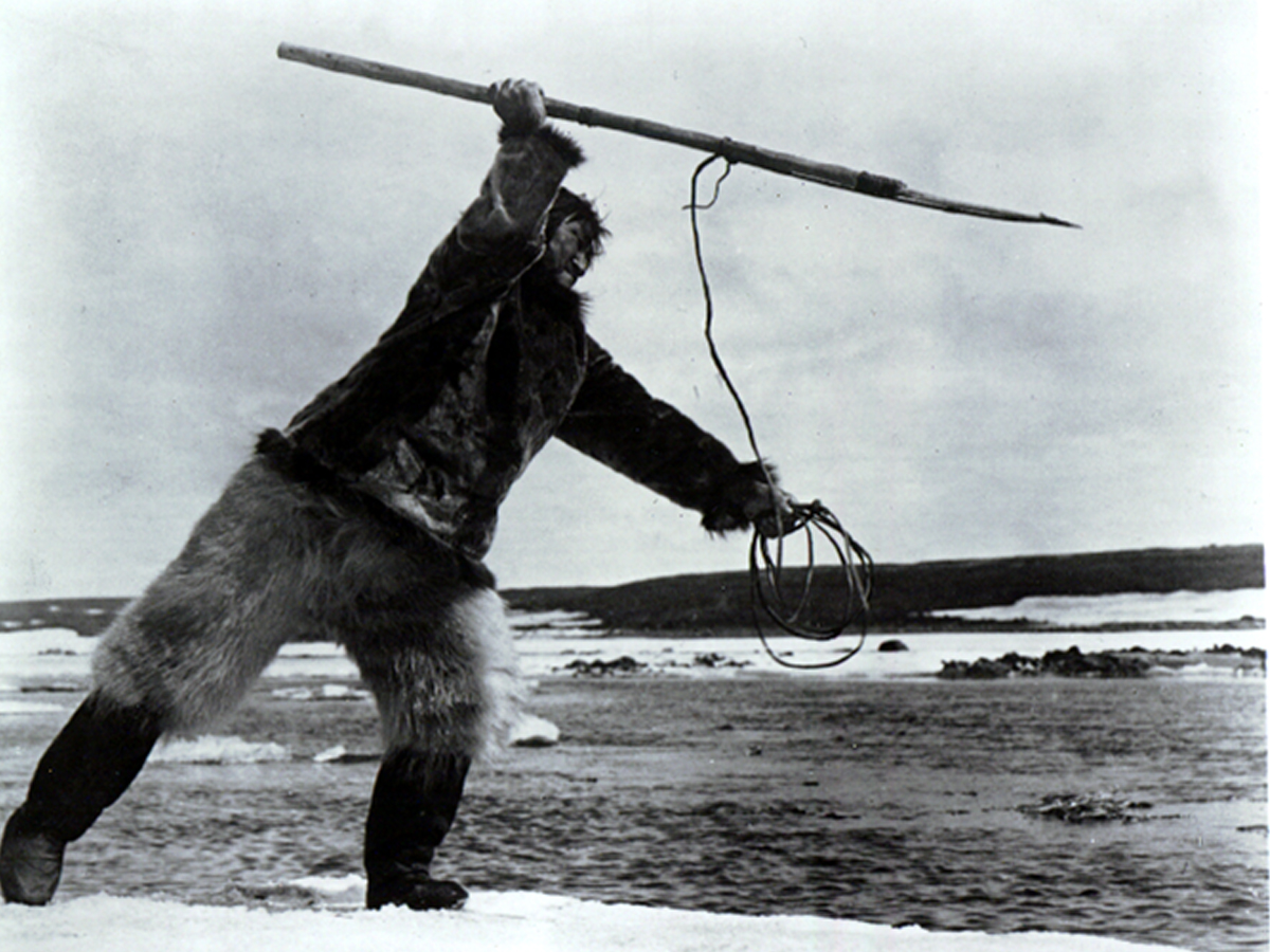 nanook.jpg