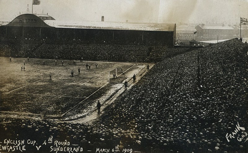 33164186110_035b0c068e_c